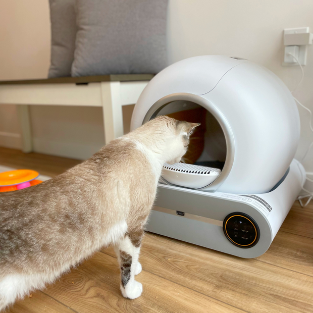 Self-cleaning Automatic Cat Litter Box-Litter-Robot